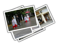 Marriage at Gokoku Shrine album picture