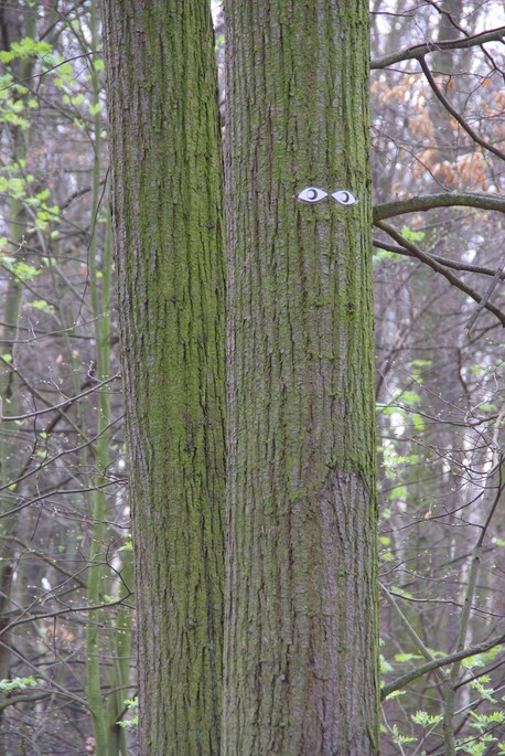 Image imgp7204.jpg