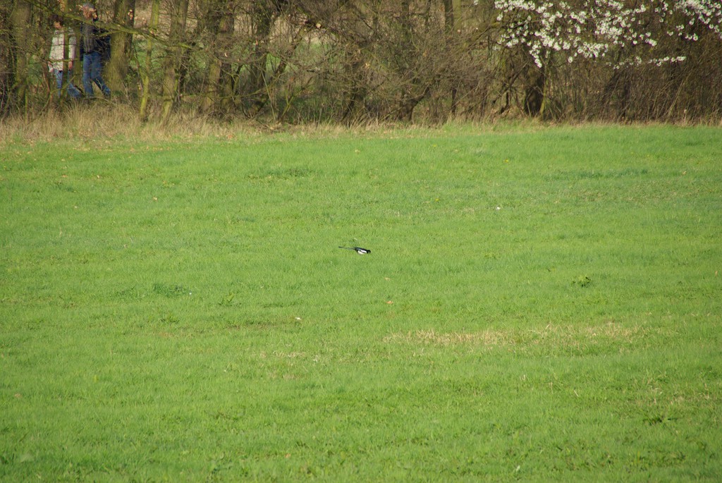 Image imgp7222.jpg