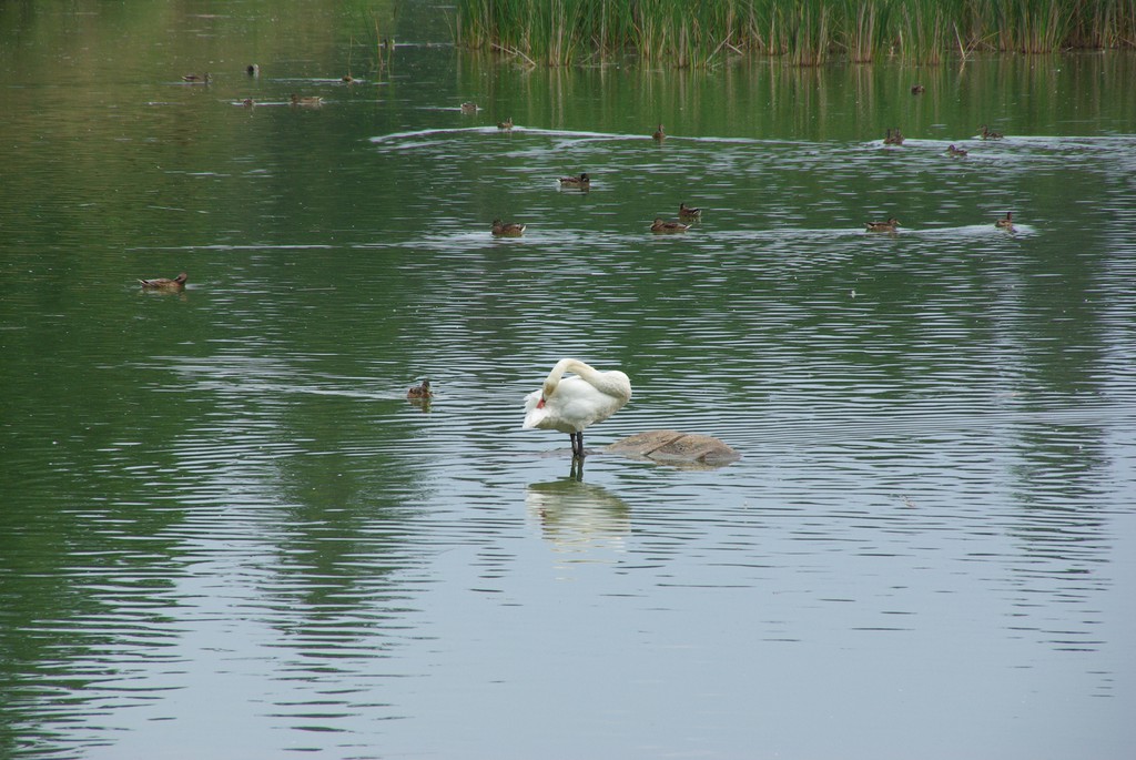 Image imgp8015.jpg