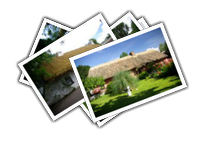 Bunratty album picture