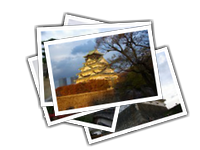 Osaka castle album picture